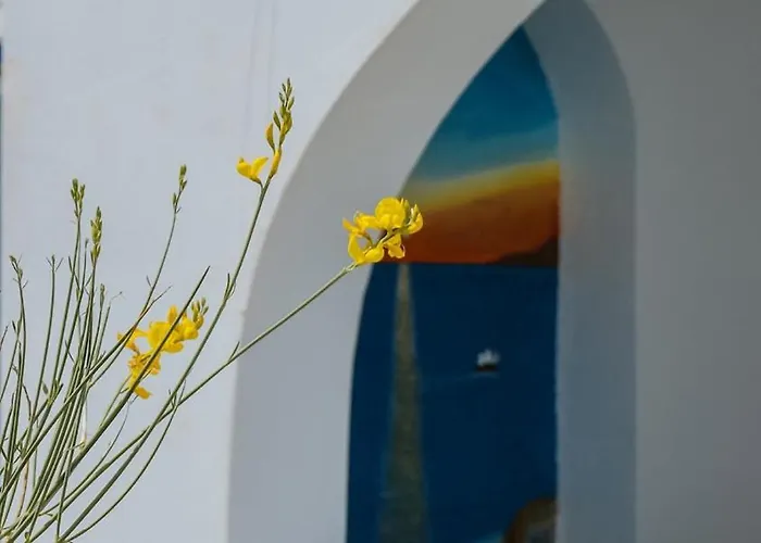 Cozy Betelgeuse * Agkidia